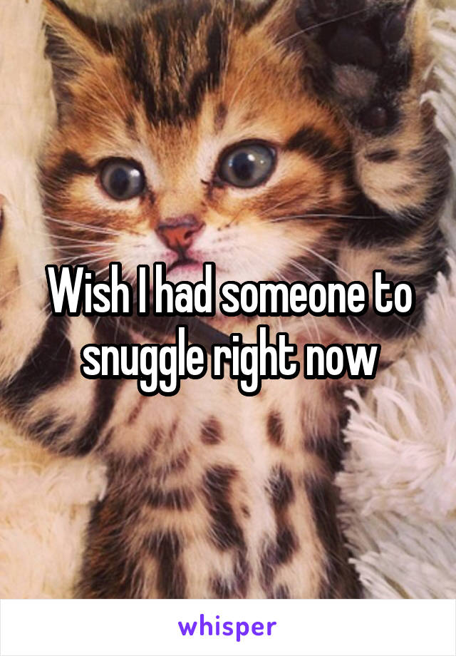 Wish I had someone to snuggle right now