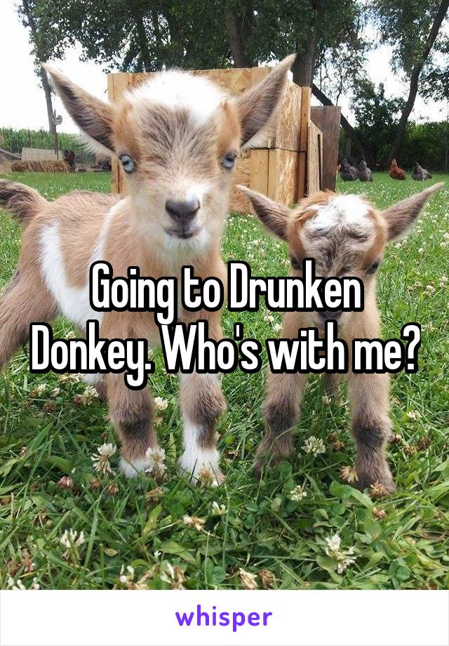 Going to Drunken Donkey. Who's with me?