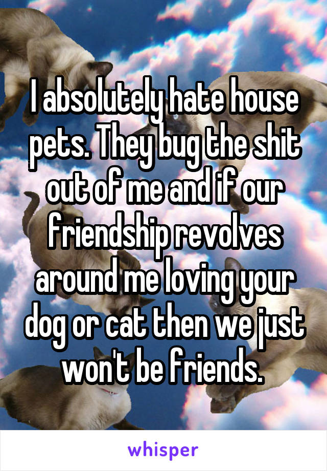 I absolutely hate house pets. They bug the shit out of me and if our friendship revolves around me loving your dog or cat then we just won't be friends. 