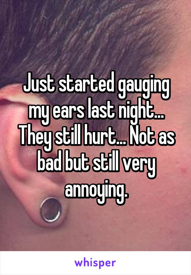 Just started gauging my ears last night... They still hurt... Not as bad but still very annoying.