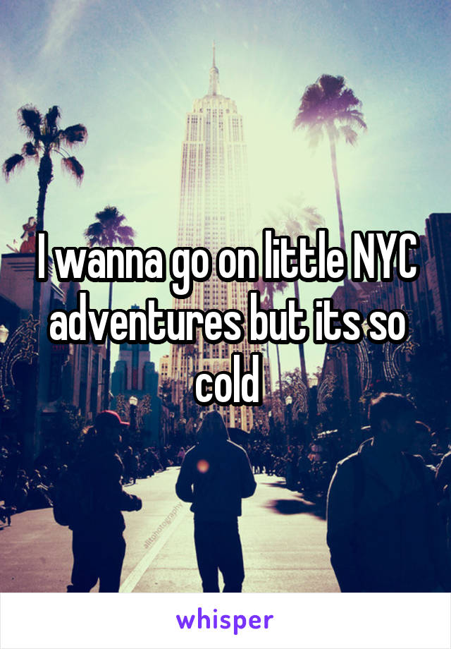 I wanna go on little NYC adventures but its so cold