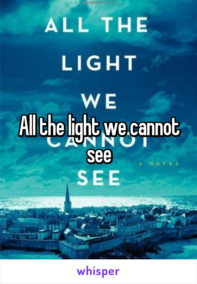 All the light we cannot see