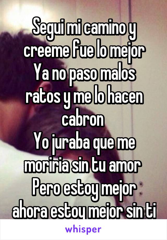 Segui mi camino y creeme fue lo mejor
Ya no paso malos ratos y me lo hacen cabron 
Yo juraba que me moriria sin tu amor 
Pero estoy mejor ahora estoy mejor sin ti