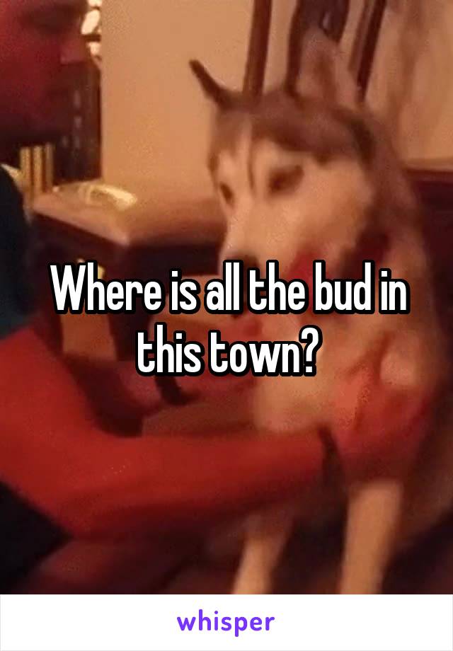 Where is all the bud in this town?