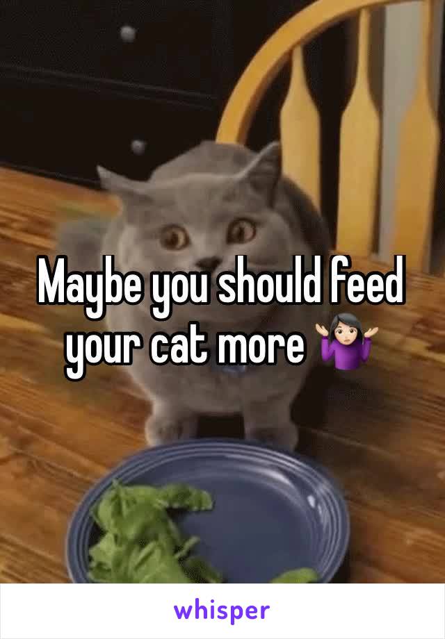 Maybe you should feed your cat more 🤷🏻‍♀️