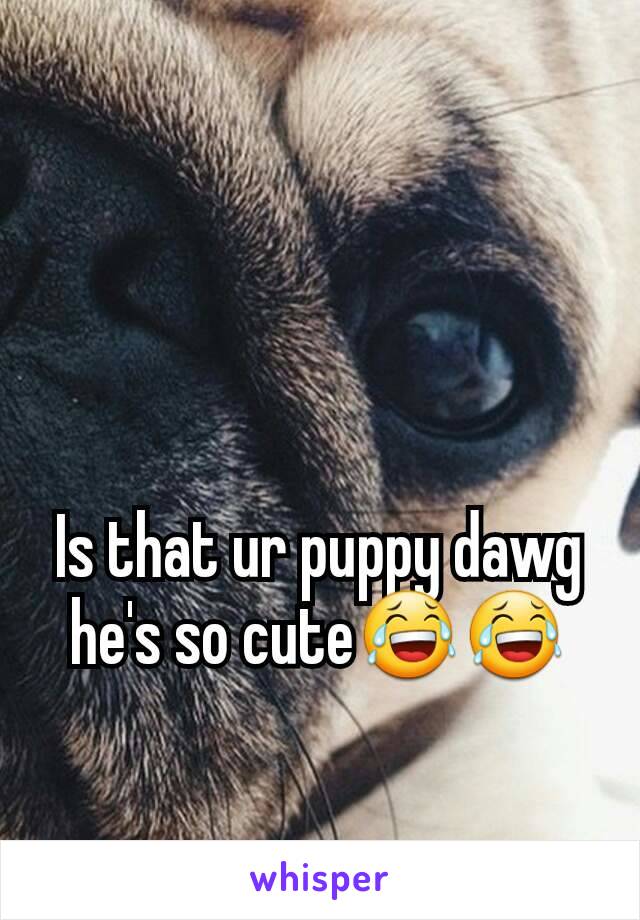 Is that ur puppy dawg he's so cute😂😂