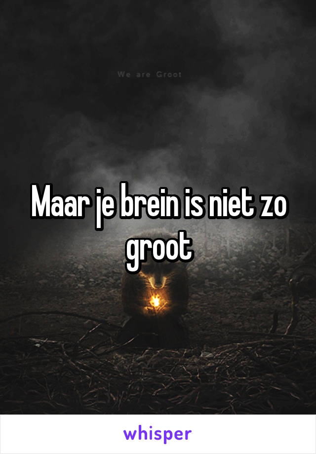 Maar je brein is niet zo groot