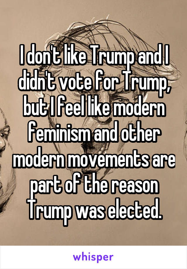 I don't like Trump and I didn't vote for Trump, but I feel like modern feminism and other modern movements are part of the reason Trump was elected.