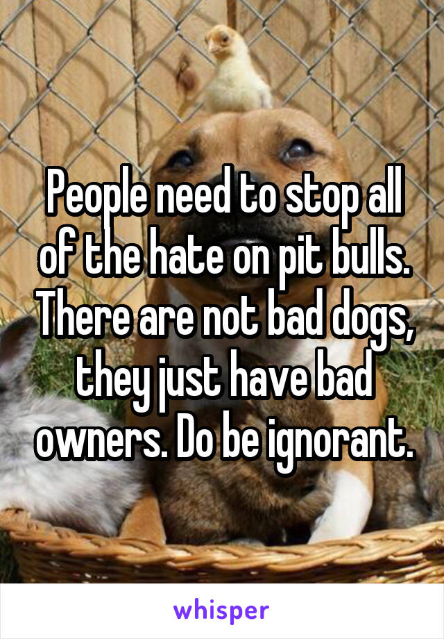 People need to stop all of the hate on pit bulls. There are not bad dogs, they just have bad owners. Do be ignorant.