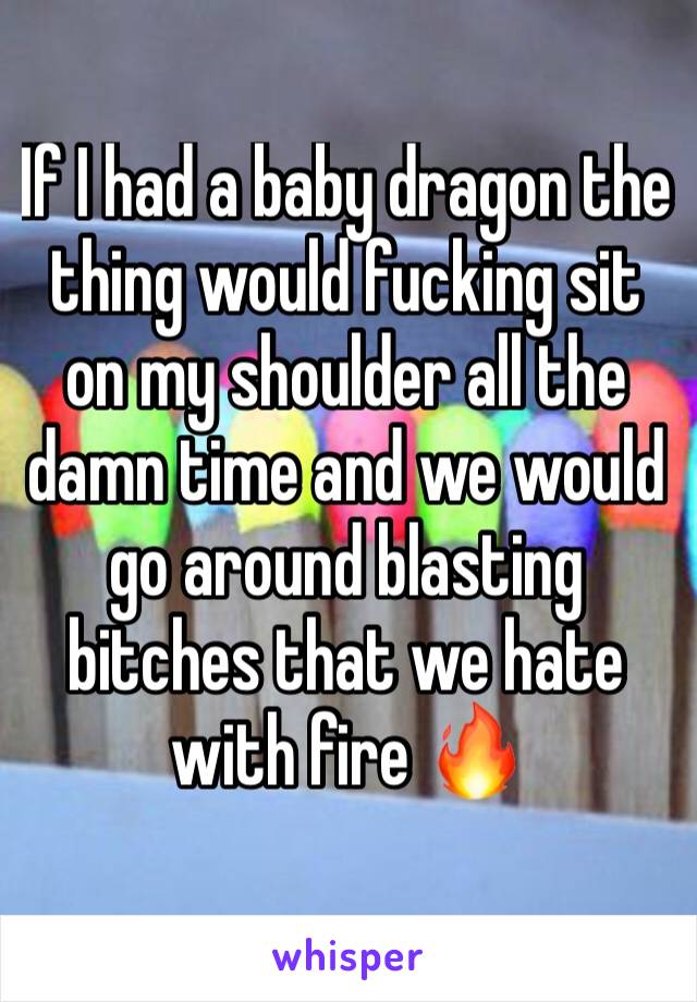 If I had a baby dragon the thing would fucking sit on my shoulder all the damn time and we would go around blasting bitches that we hate with fire 🔥 