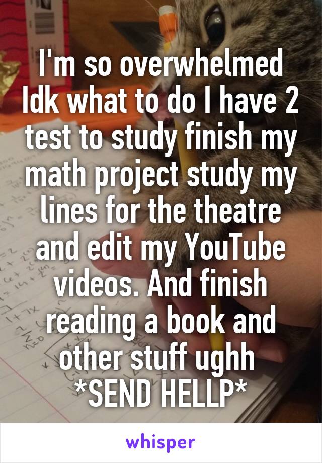 I'm so overwhelmed Idk what to do I have 2 test to study finish my math project study my lines for the theatre and edit my YouTube videos. And finish reading a book and other stuff ughh 
*SEND HELLP*