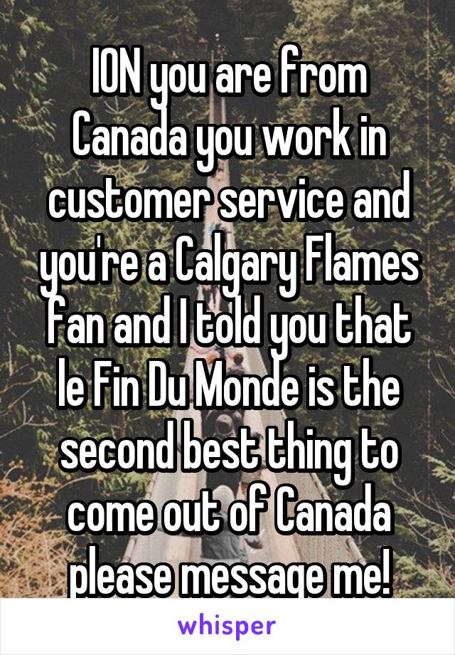 ION you are from Canada you work in customer service and you're a Calgary Flames fan and I told you that le Fin Du Monde is the second best thing to come out of Canada please message me!