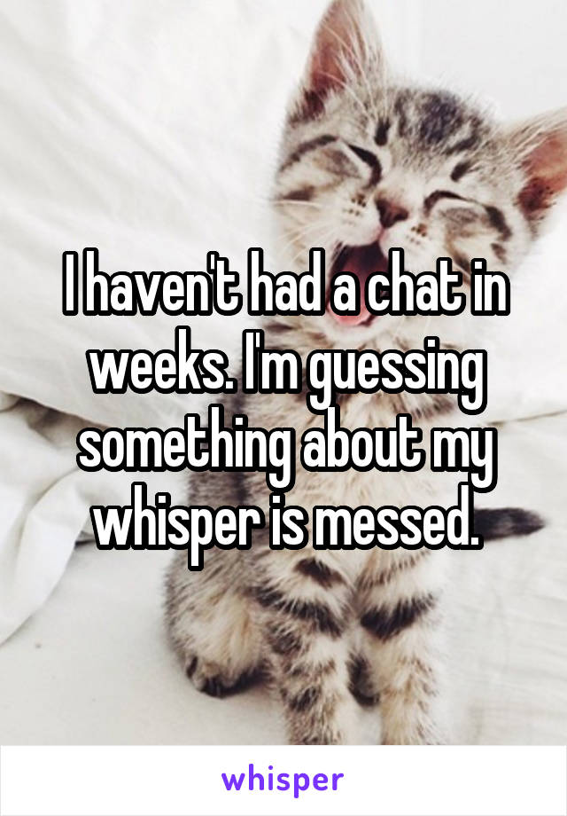 I haven't had a chat in weeks. I'm guessing something about my whisper is messed.