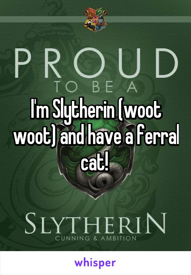 I'm Slytherin (woot woot) and have a ferral cat! 