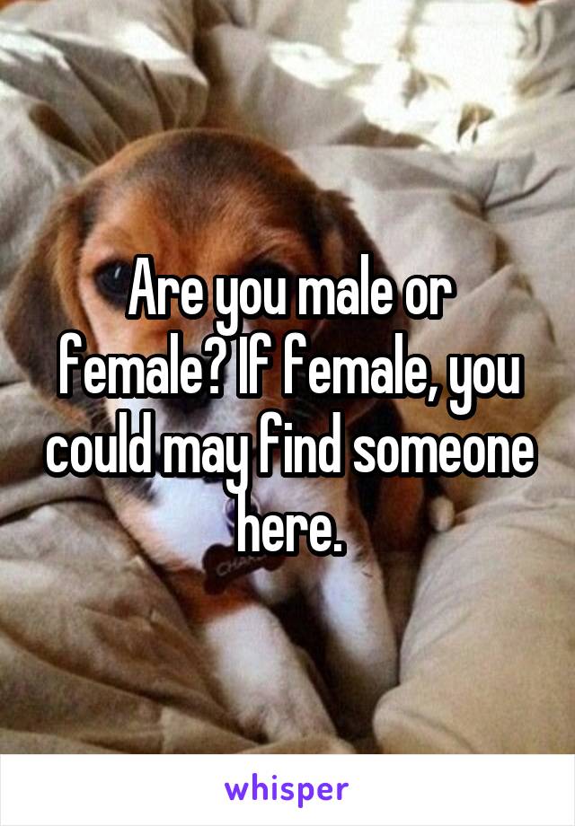 Are you male or female? If female, you could may find someone here.