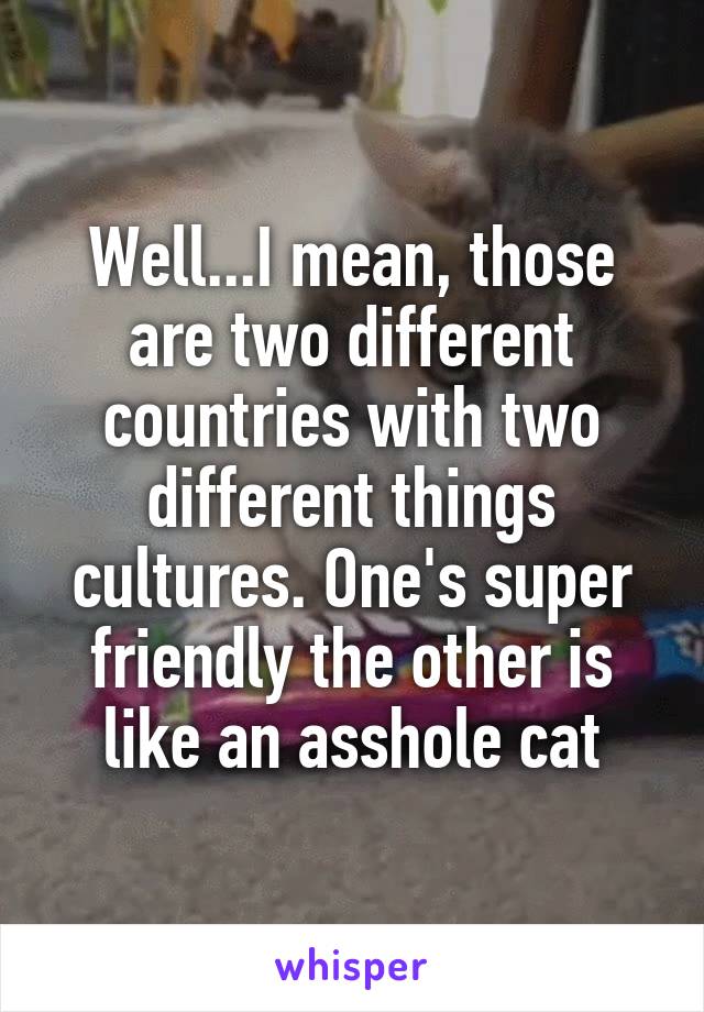 Well...I mean, those are two different countries with two different things cultures. One's super friendly the other is like an asshole cat