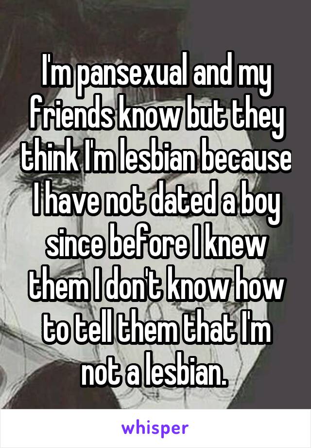 I'm pansexual and my friends know but they think I'm lesbian because I have not dated a boy since before I knew them I don't know how to tell them that I'm not a lesbian. 