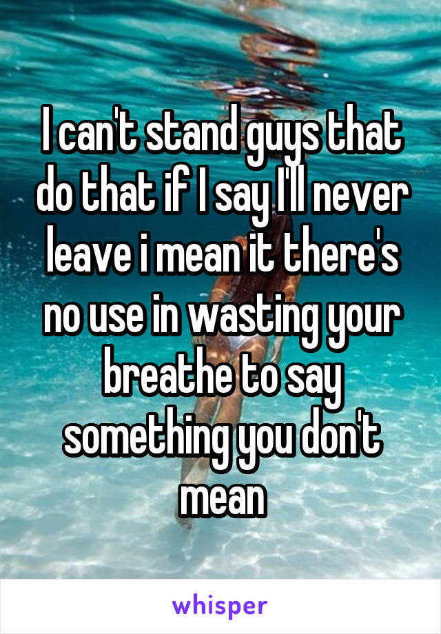 I can't stand guys that do that if I say I'll never leave i mean it there's no use in wasting your breathe to say something you don't mean