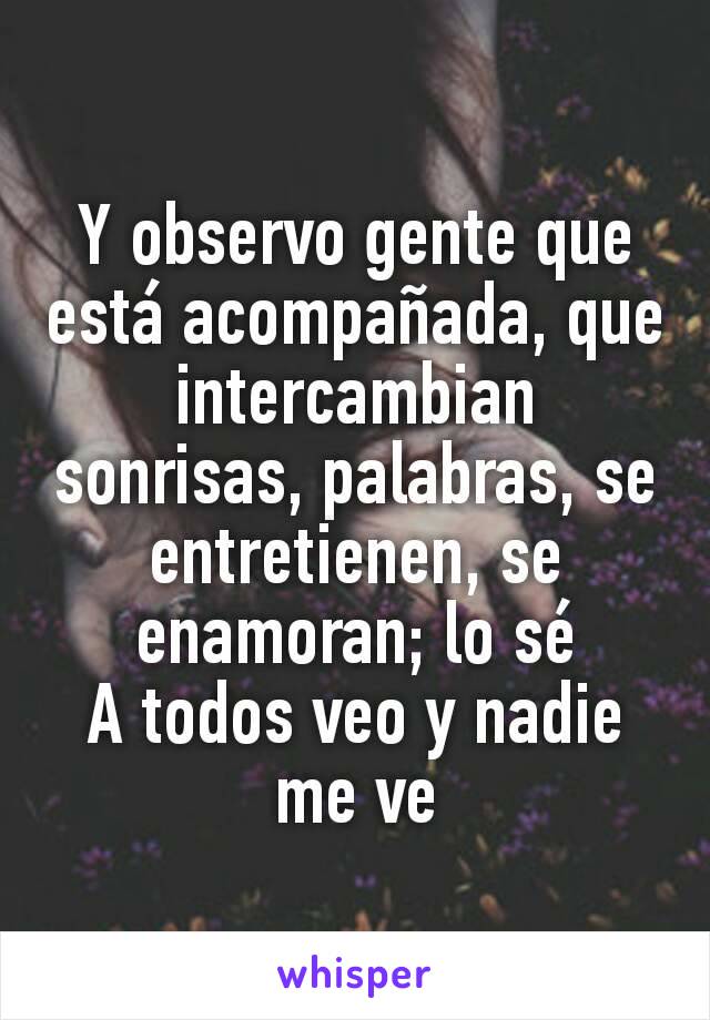 Y observo gente que está acompañada, que intercambian sonrisas, palabras, se entretienen, se enamoran; lo sé
A todos veo y nadie me ve