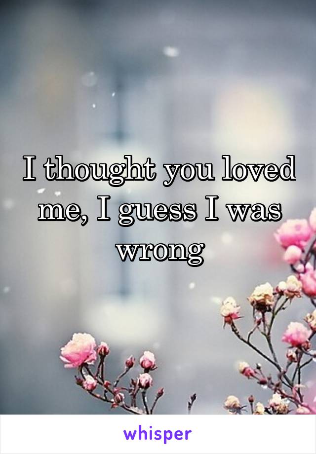 I thought you loved me, I guess I was wrong
