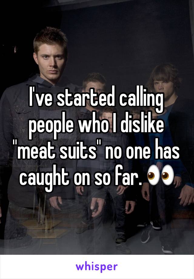 I've started calling people who I dislike "meat suits" no one has caught on so far. 👀