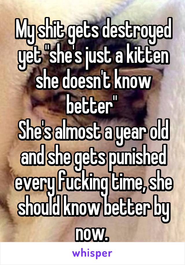 My shit gets destroyed yet "she's just a kitten she doesn't know better" 
She's almost a year old and she gets punished every fucking time, she should know better by now. 