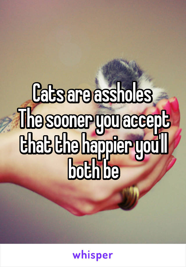 Cats are assholes 
The sooner you accept that the happier you'll both be