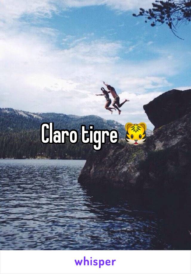 Claro tigre 🐯 