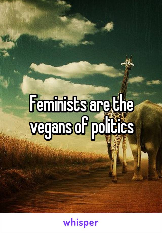 Feminists are the vegans of politics