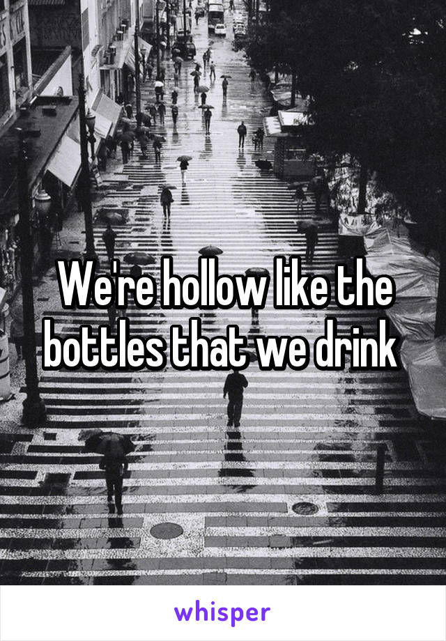 We're hollow like the bottles that we drink 