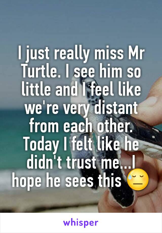 I just really miss Mr Turtle. I see him so little and I feel like we're very distant from each other. Today I felt like he didn't trust me...I hope he sees this 😓