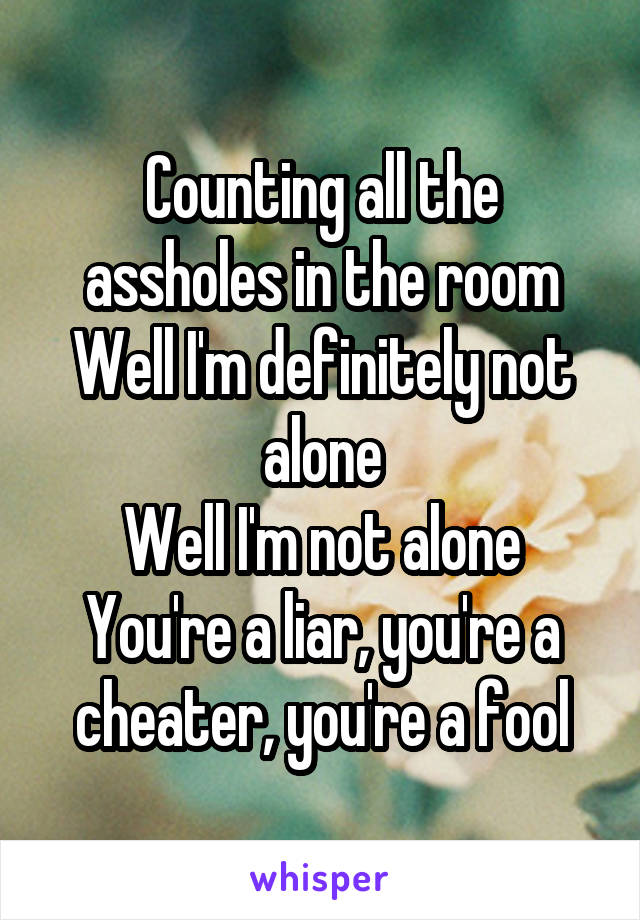 Counting all the assholes in the room
Well I'm definitely not alone
Well I'm not alone
You're a liar, you're a cheater, you're a fool