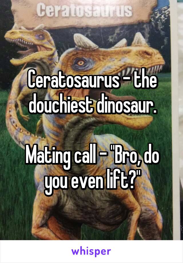 Ceratosaurus - the douchiest dinosaur.
 
Mating call - "Bro, do you even lift?"