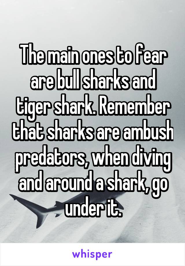 The main ones to fear are bull sharks and tiger shark. Remember that sharks are ambush predators, when diving and around a shark, go under it.