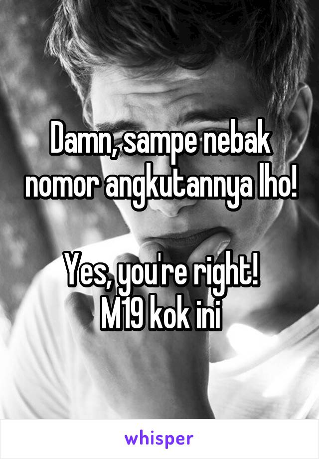 Damn, sampe nebak nomor angkutannya lho!

Yes, you're right!
M19 kok ini