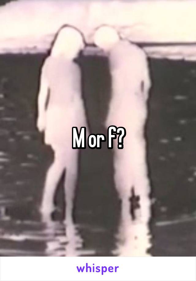 M or f?