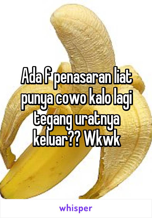 Ada f penasaran liat punya cowo kalo lagi tegang uratnya keluar?? Wkwk