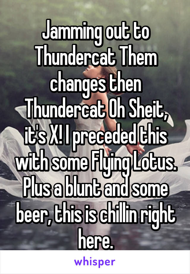 Jamming out to Thundercat Them changes then Thundercat Oh Sheit, it's X! I preceded this with some Flying Lotus. Plus a blunt and some beer, this is chillin right here.