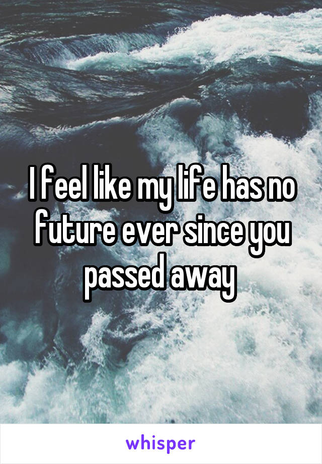 I feel like my life has no future ever since you passed away 