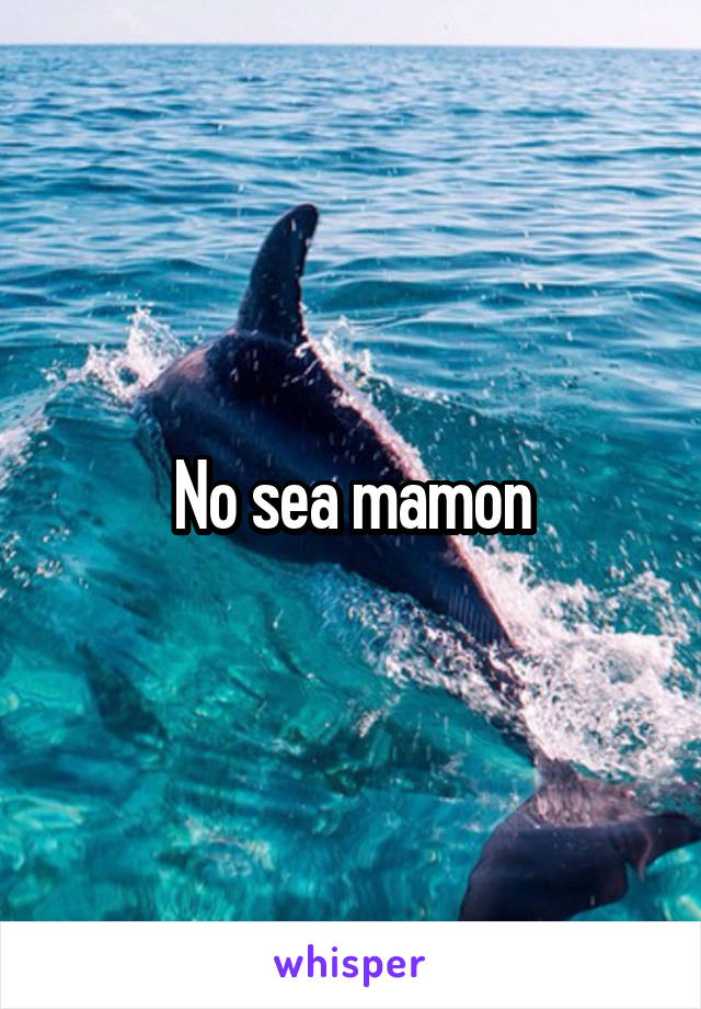 No sea mamon