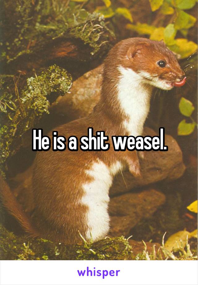 He is a shit weasel.