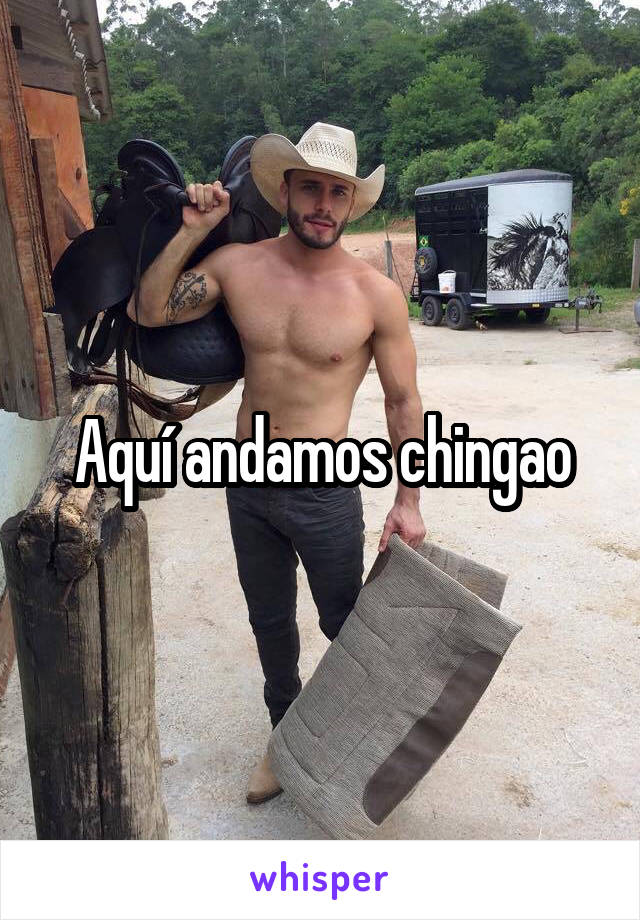 Aquí andamos chingao