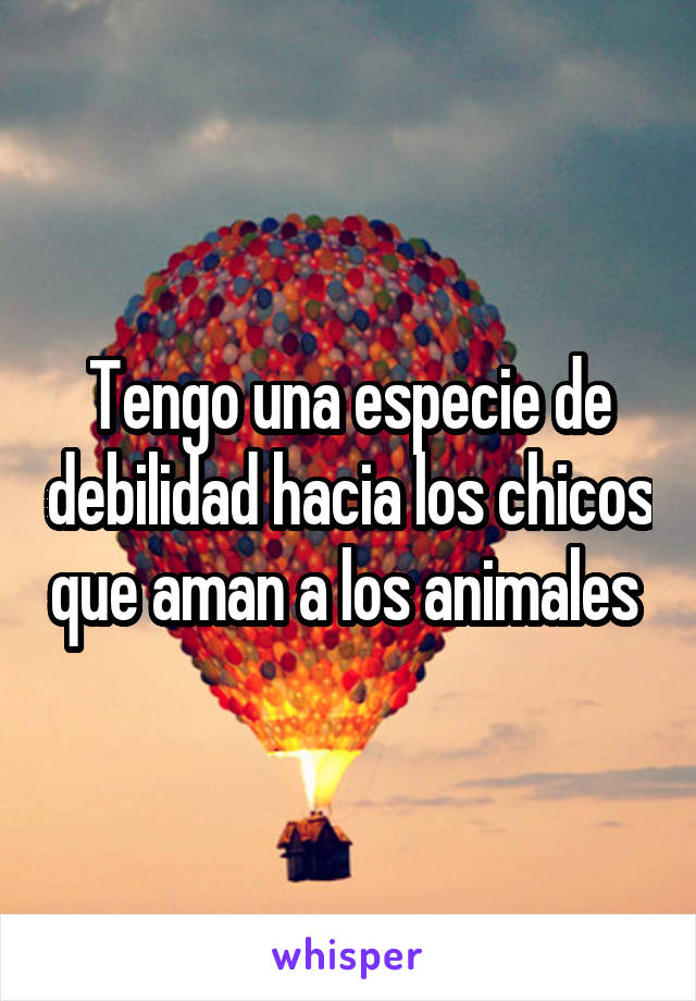 Tengo una especie de debilidad hacia los chicos que aman a los animales 