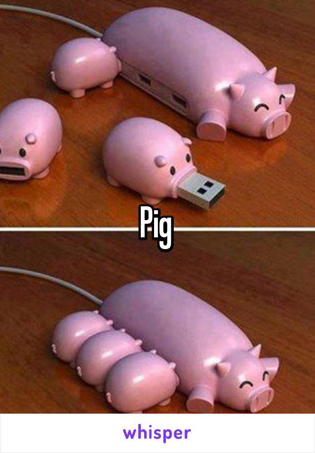 Pig 