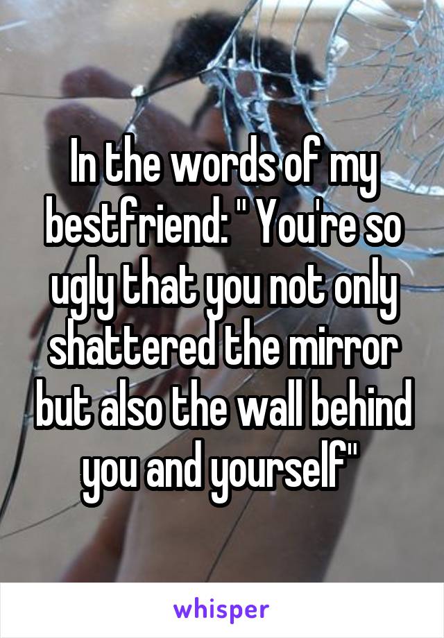 In the words of my bestfriend: " You're so ugly that you not only shattered the mirror but also the wall behind you and yourself" 