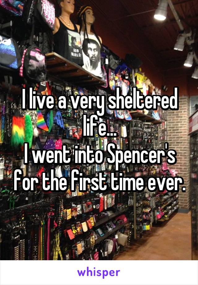 I live a very sheltered life...
I went into Spencer's for the first time ever.