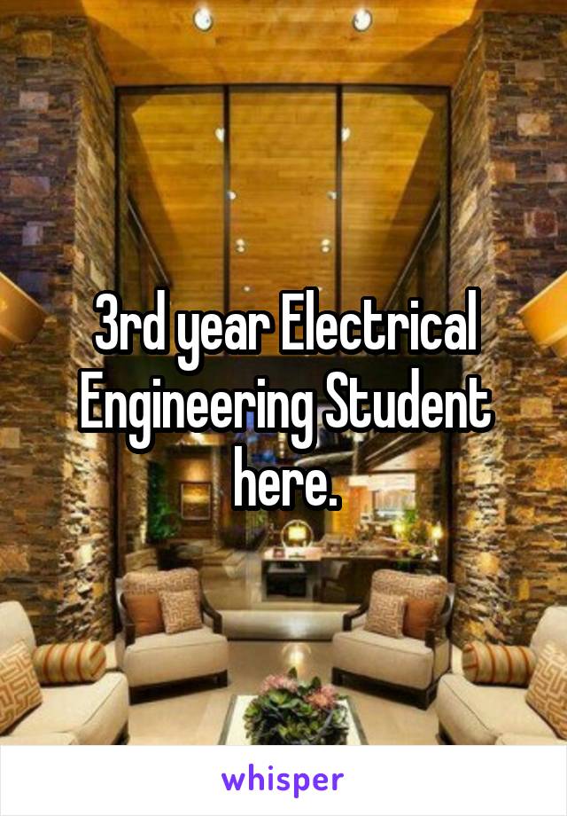 3rd year Electrical Engineering Student here.