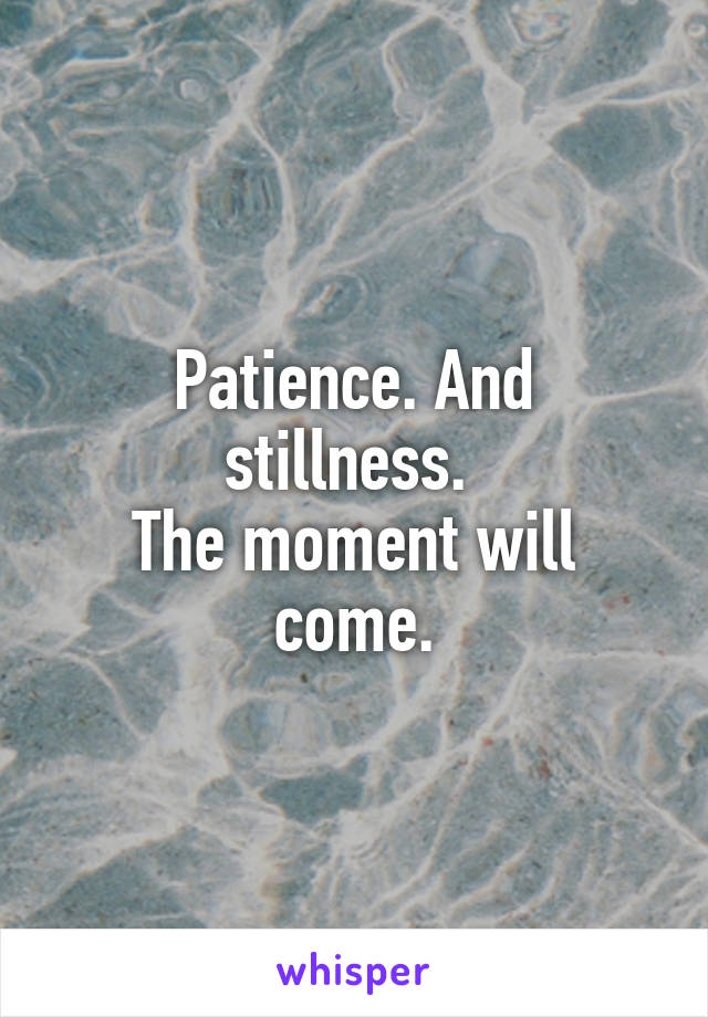 Patience. And stillness. 
The moment will come.