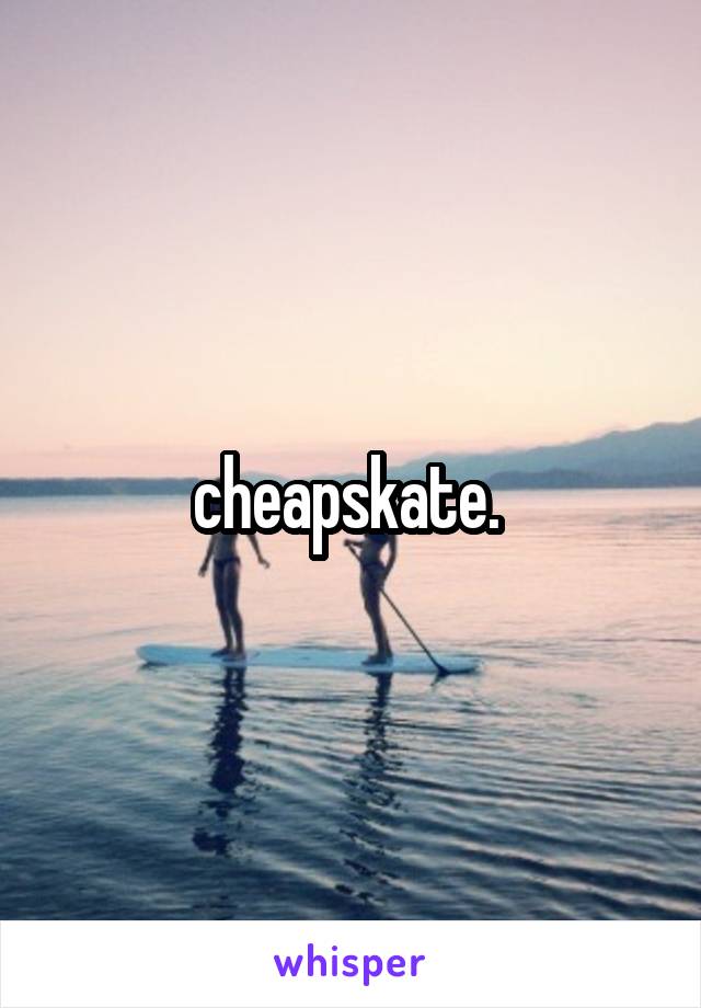 cheapskate. 