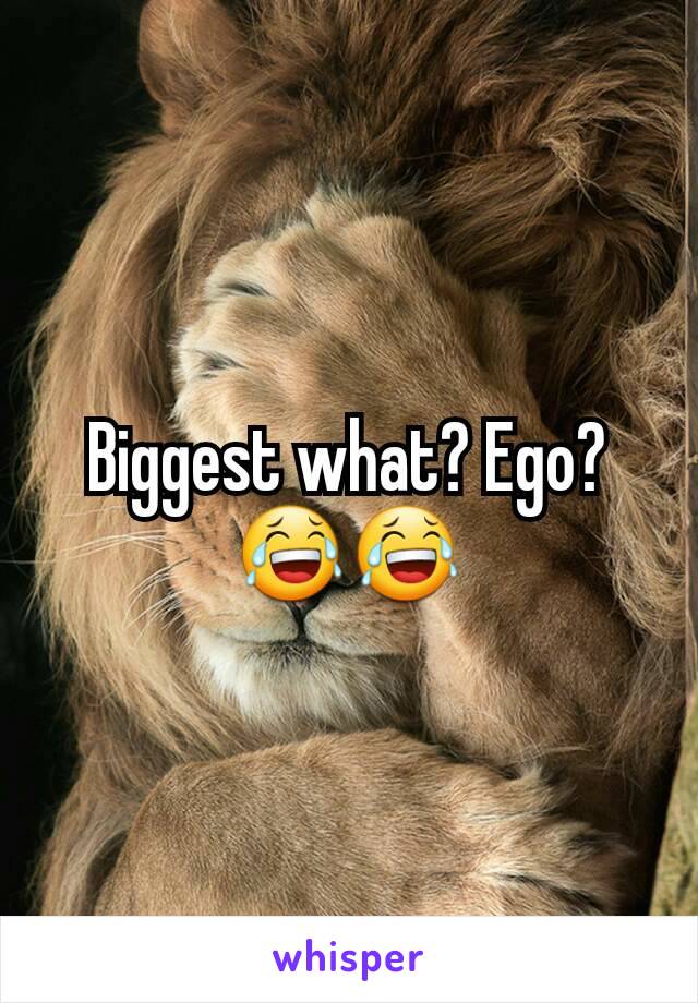 Biggest what? Ego? 😂😂